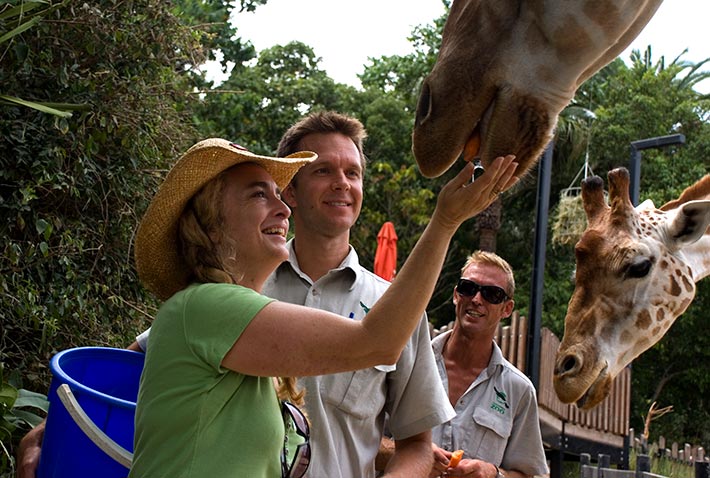 Guests perform zoo keeper duties with Giraffe as part of Taronga Zoo’s ‘Keeper for a Day’ experience