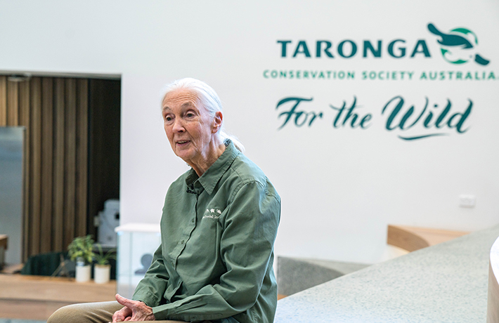 Dr. Jane Goodall visiting the Taronga Institute of Science and Learning, May 2019