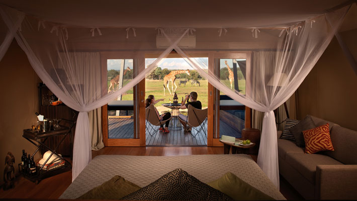Zoofari Lodge at Taronga Western Plains Zoo Dubbo - view from the room overlooking Giraffe.