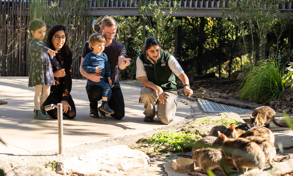 Family get up close to an animal in the Sanctuary at the Wildlife Retreat at Taronga.