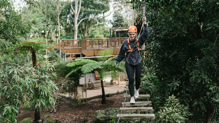 Swing, step and climb above native Australian animals.