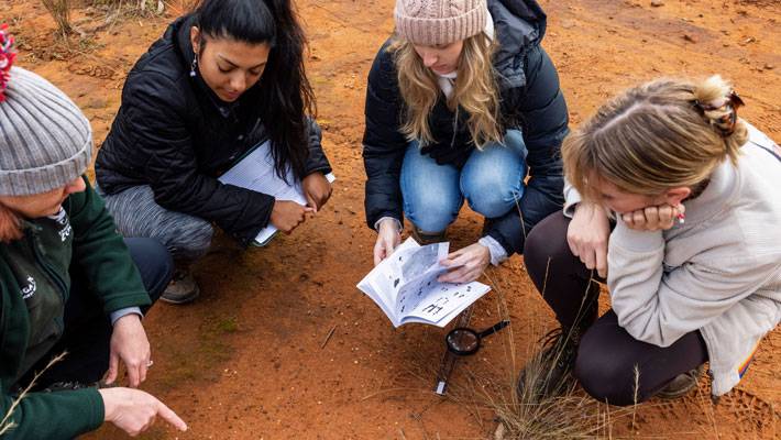 We educate students from preschool to PhD in wildlife conservation.