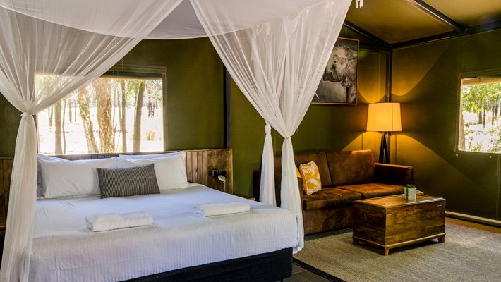 The tranquil interior of a Bushland Lodge.