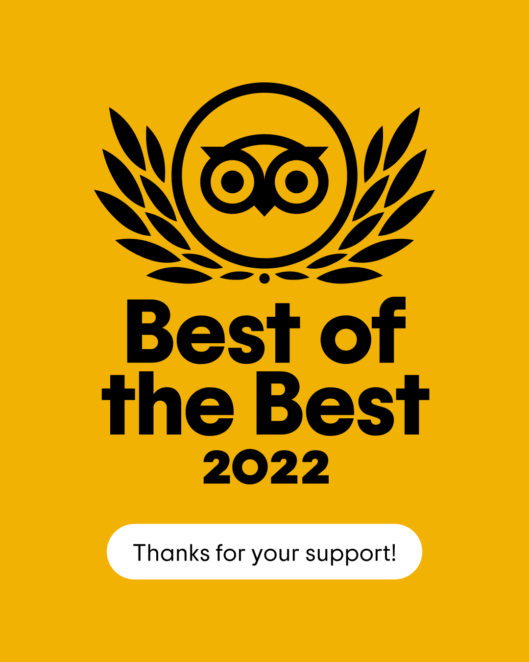 Best of the Best