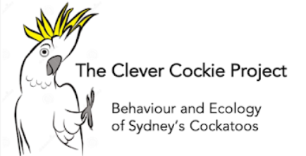 The Clever Cockie Project