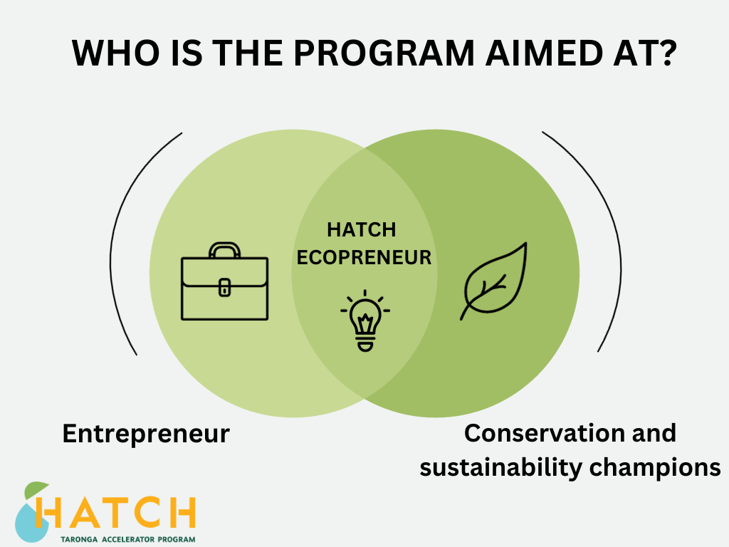 HATCH Audience Infographic