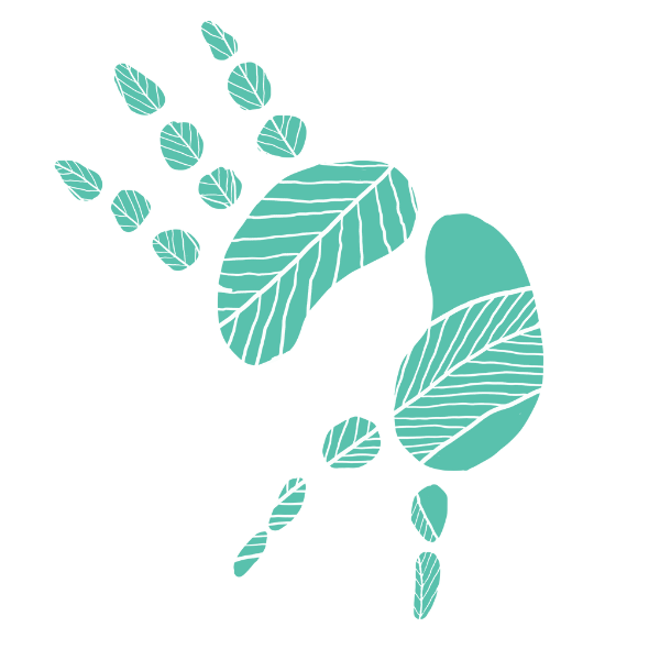 Koala icon
