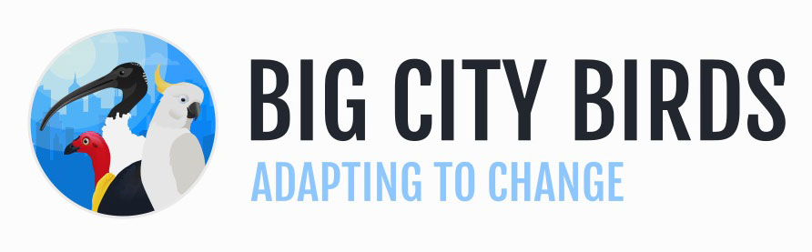 Big City Birds - Adapting to Change