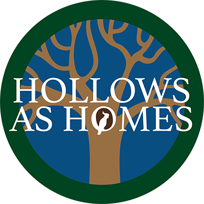 Hollows as Homes
