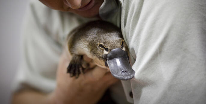 Taronga Training Institute Manager