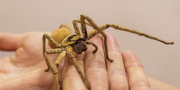 Stage 1: Data Detectives: Living things change over time