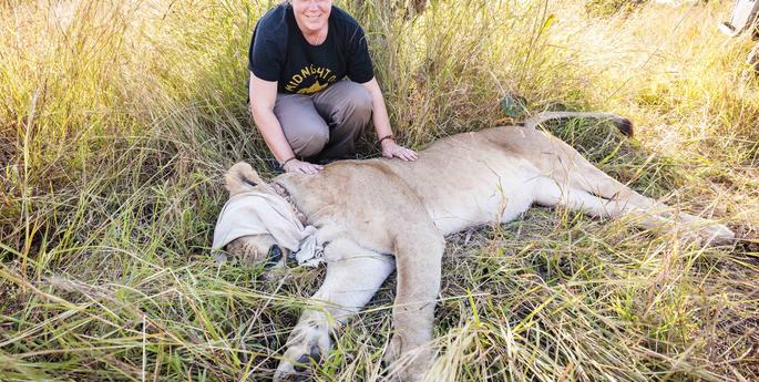 Conservation South Luangwa Fellowship