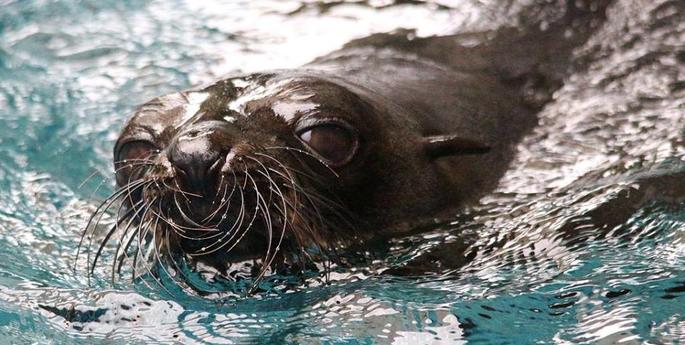 Bondi and the boys show off their playful side