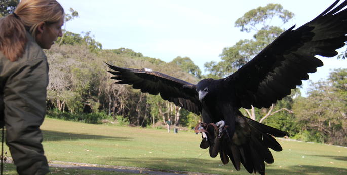 Gina finds her wings