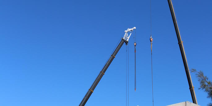 Elephant barn starts to takes shape