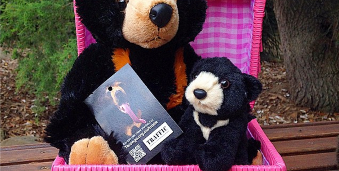 Kylie the Keeper and the Sun Bears