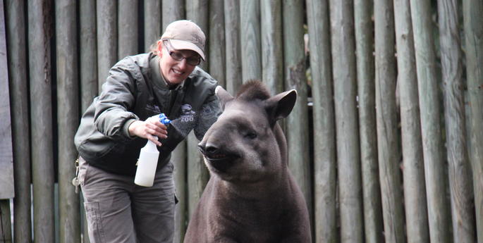 Tiquie prepares for big move