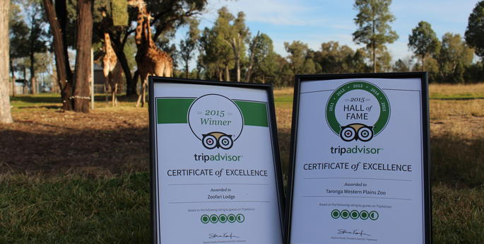 Taronga Western Plains Zoo inducted to the TripAdvisor Hall of Fame