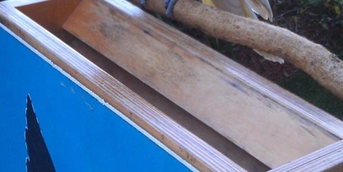 Ord Helps Out at the Bird Show