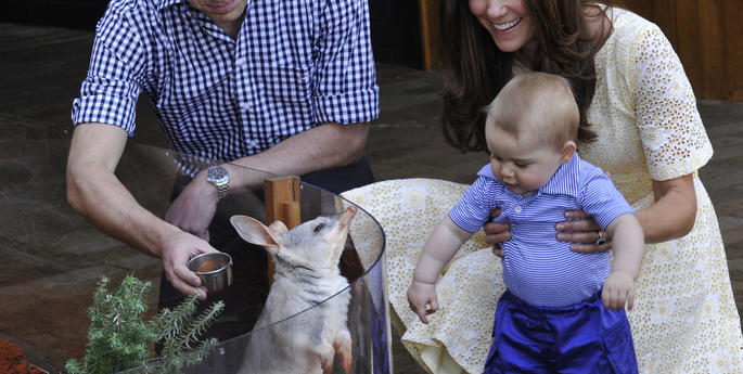 National Threatened Species Day