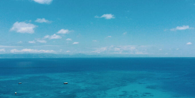 Taronga's Reef Recovery Program