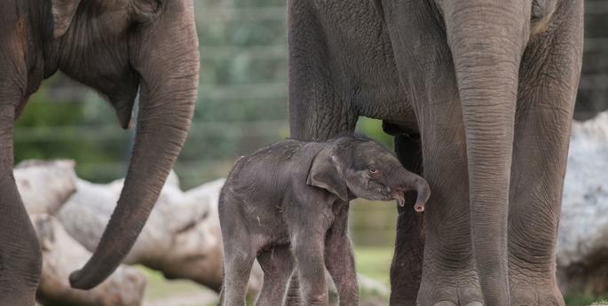 A decade of conservation