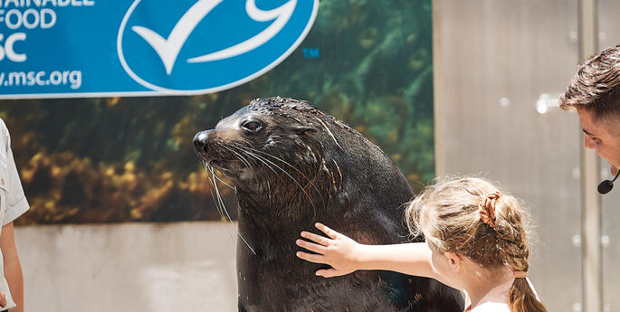 A festive summer full of Sustainable Seafood